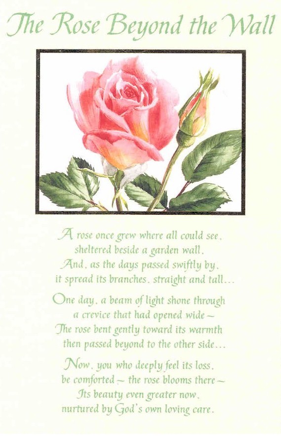 Sympathy Card - The Rose Beyond the Wall.jpg (97238 bytes)